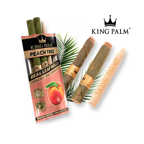 TUBOS KING PALM PEACH TREE