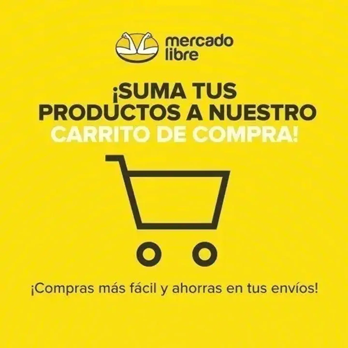 Guantes De Cabritilla Sin Forro Embalaje 120 Pares 4