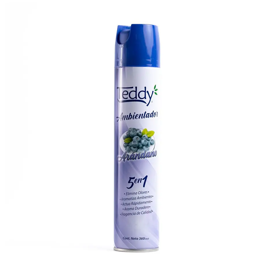 Desodorante Ambiental Arandanos 400 Ml - Teddy 1