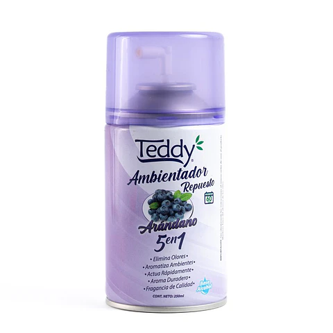 Desodorante Ambiental Repuesto Arandanos 250 Ml - Teddy