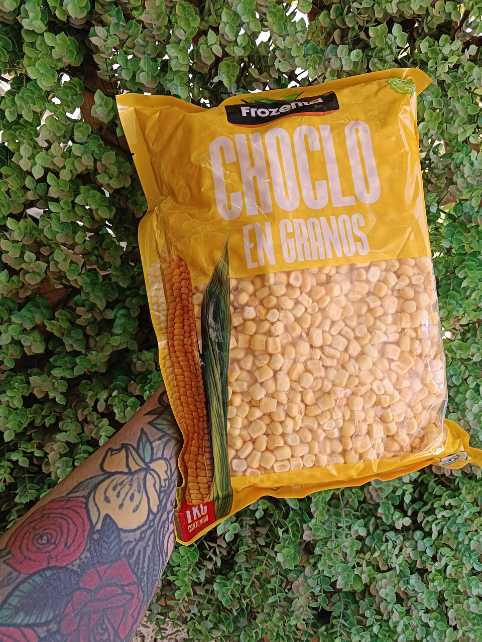 Choclo en grano 1Kg  Frozenta 1