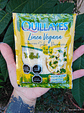 QUESO RALLADO VEGANO 40G - QUILLAYES - Miniatura 2