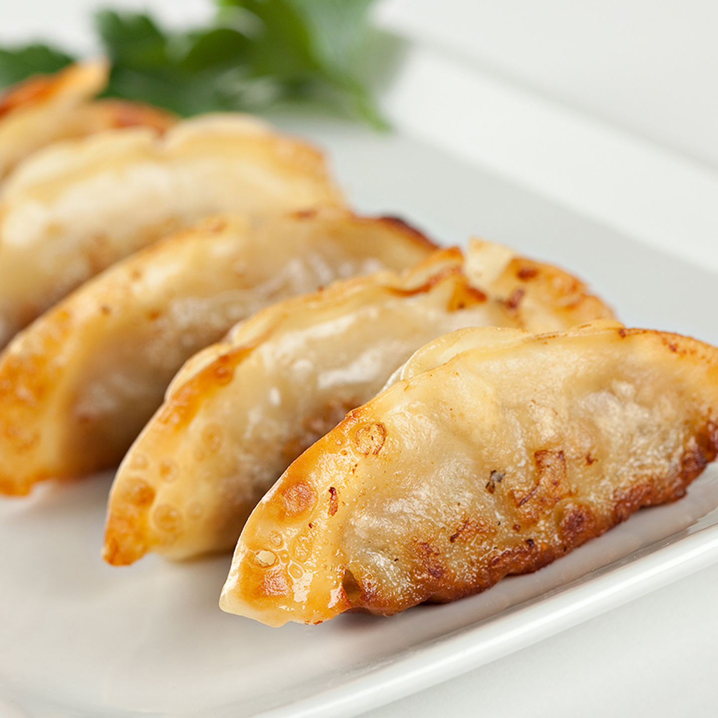 Gyoza de Camarón (Bolsa de 12 Gyozas) - SHEN 3