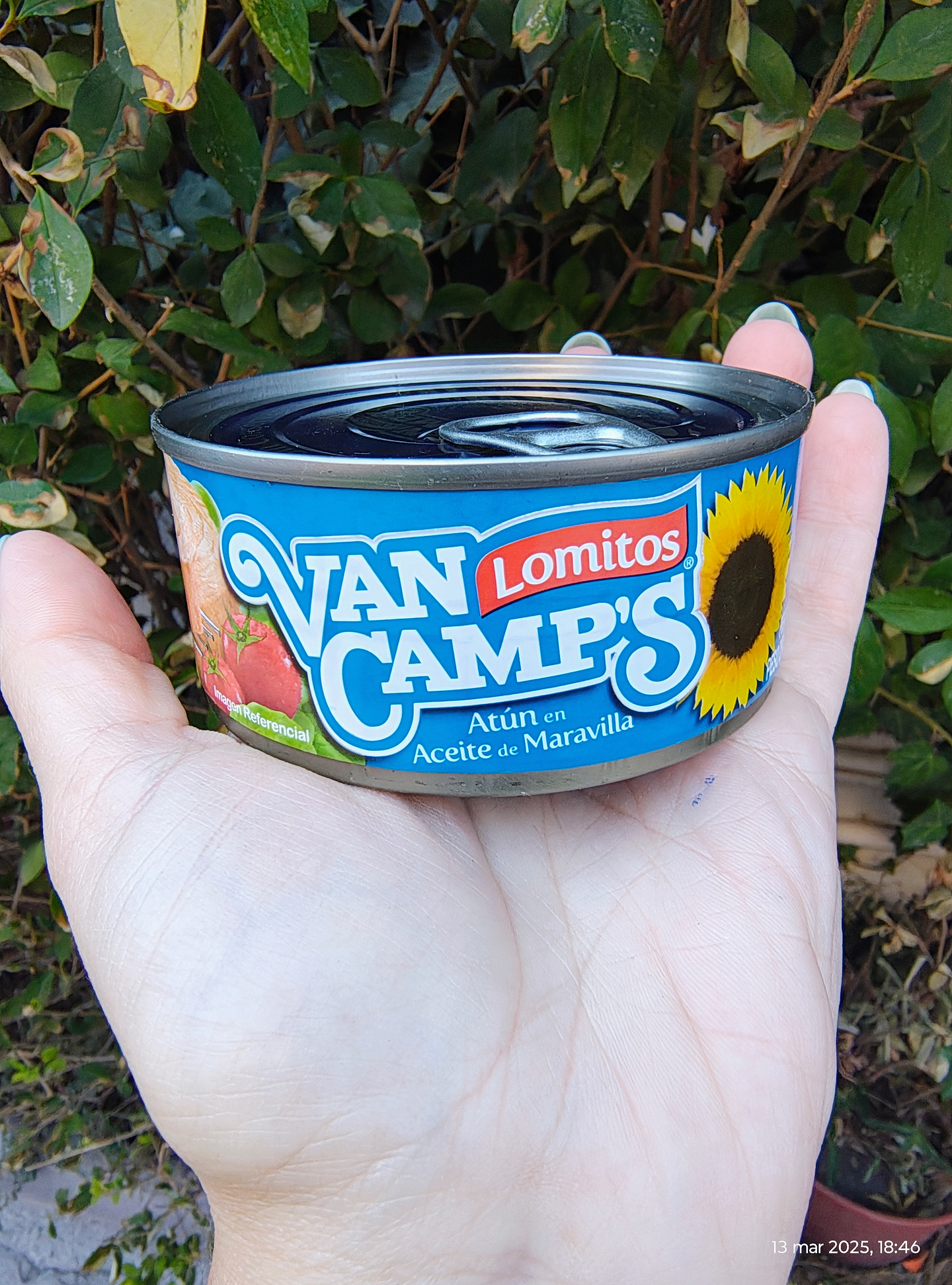  ATUN EN ACEITE 160G - VAN CAMPS 2