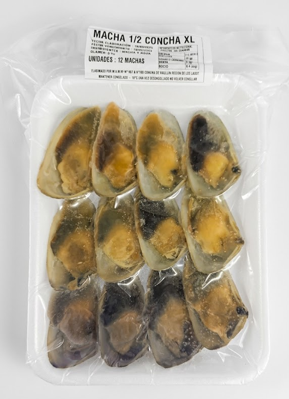 Machas XL 1/2 Concha 12 unidades 1
