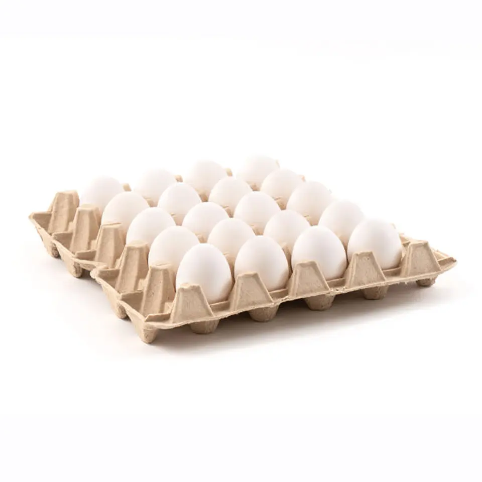 HUEVO JUMBO BLANCO BANDEJA 20 UNIDADES 1