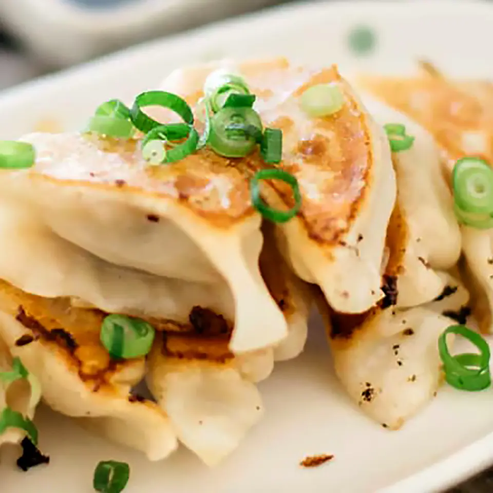 GYOZA CERDO SHEN - 12 EMPANADAS ORIENTALES  2