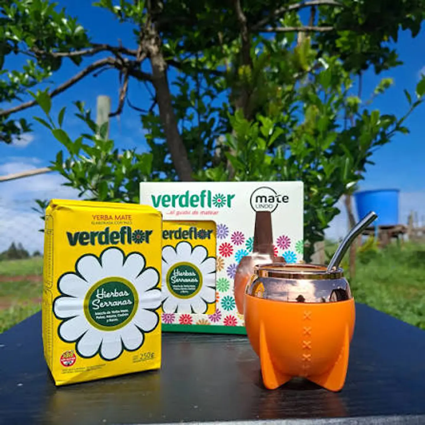 Kit Verdeflor - Matero con Bombilla + Yerba Mate Hierbas Serranas 250g  3