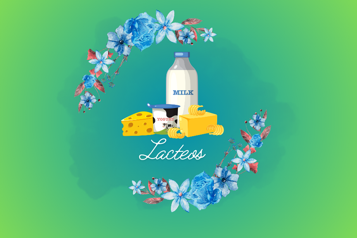 Distribuidora Fermarket | Tienda Online