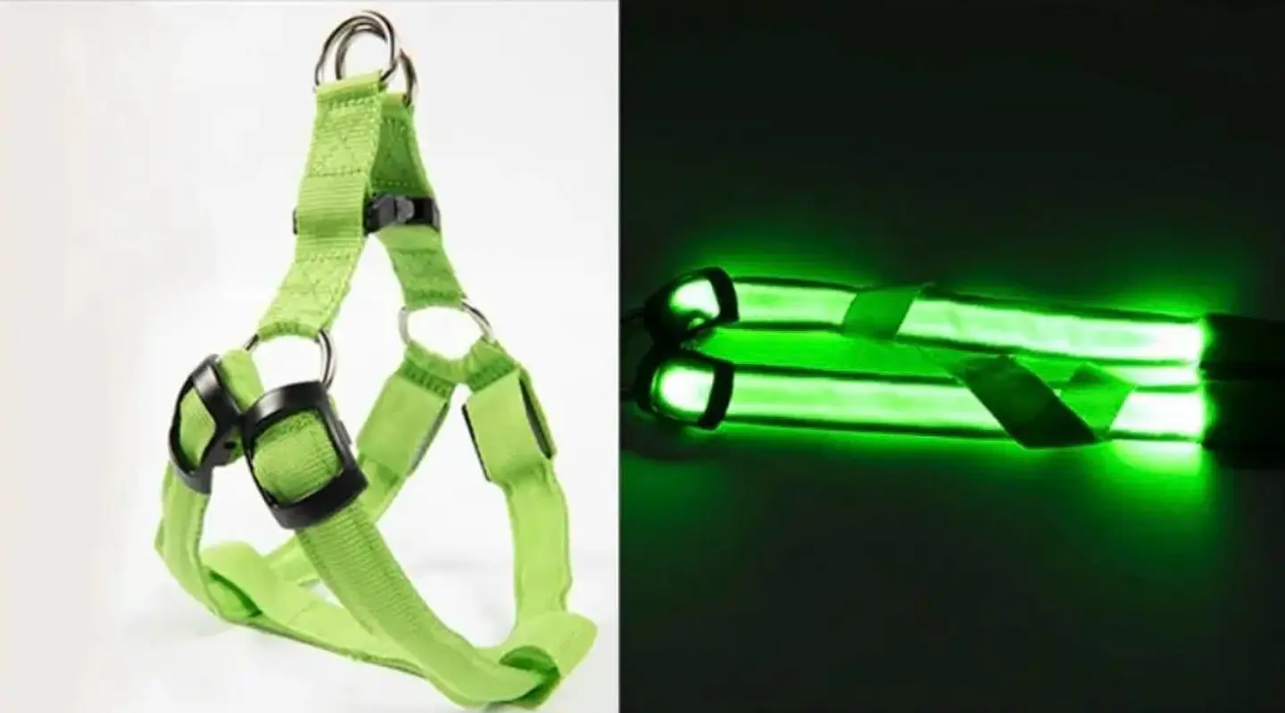 Arnés Luminoso Luz Led Carga USB Talla M 3