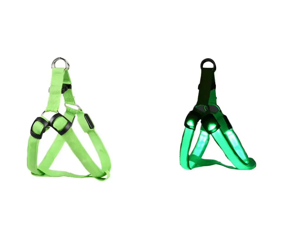 Arnés Luminoso Luz Led Carga USB Talla M 11