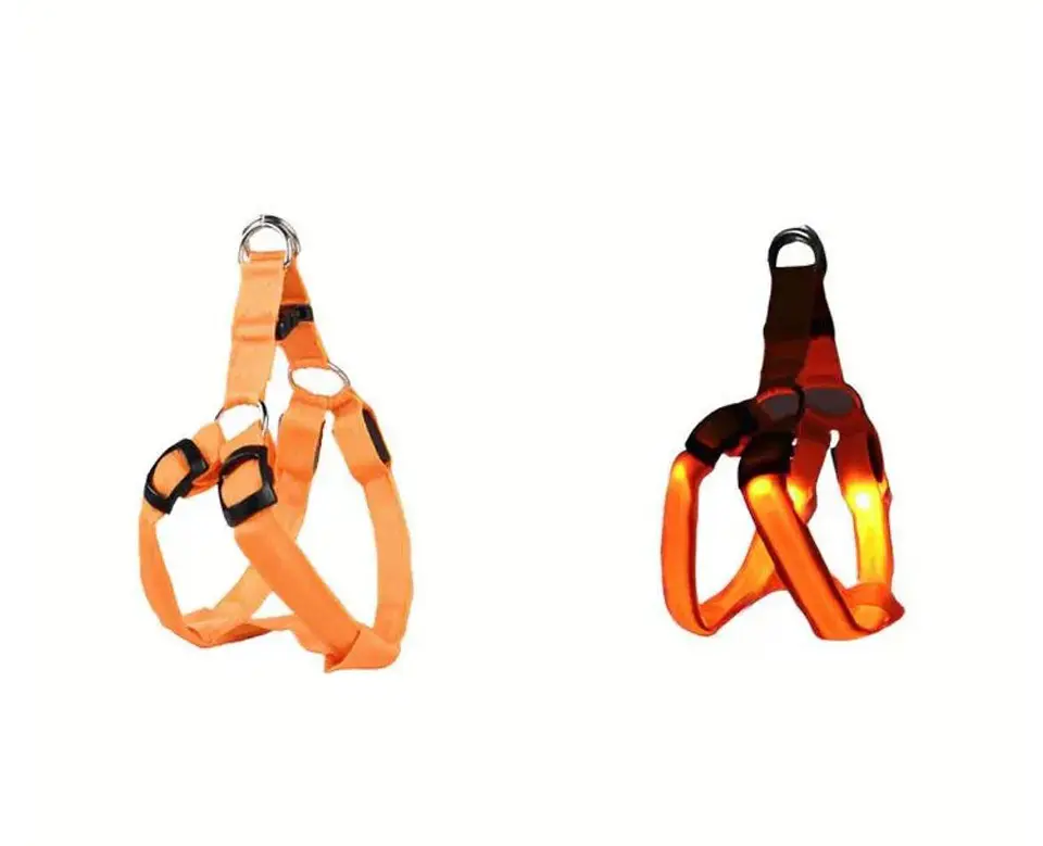 Arnés Luminoso Luz Led Carga USB Talla M 12