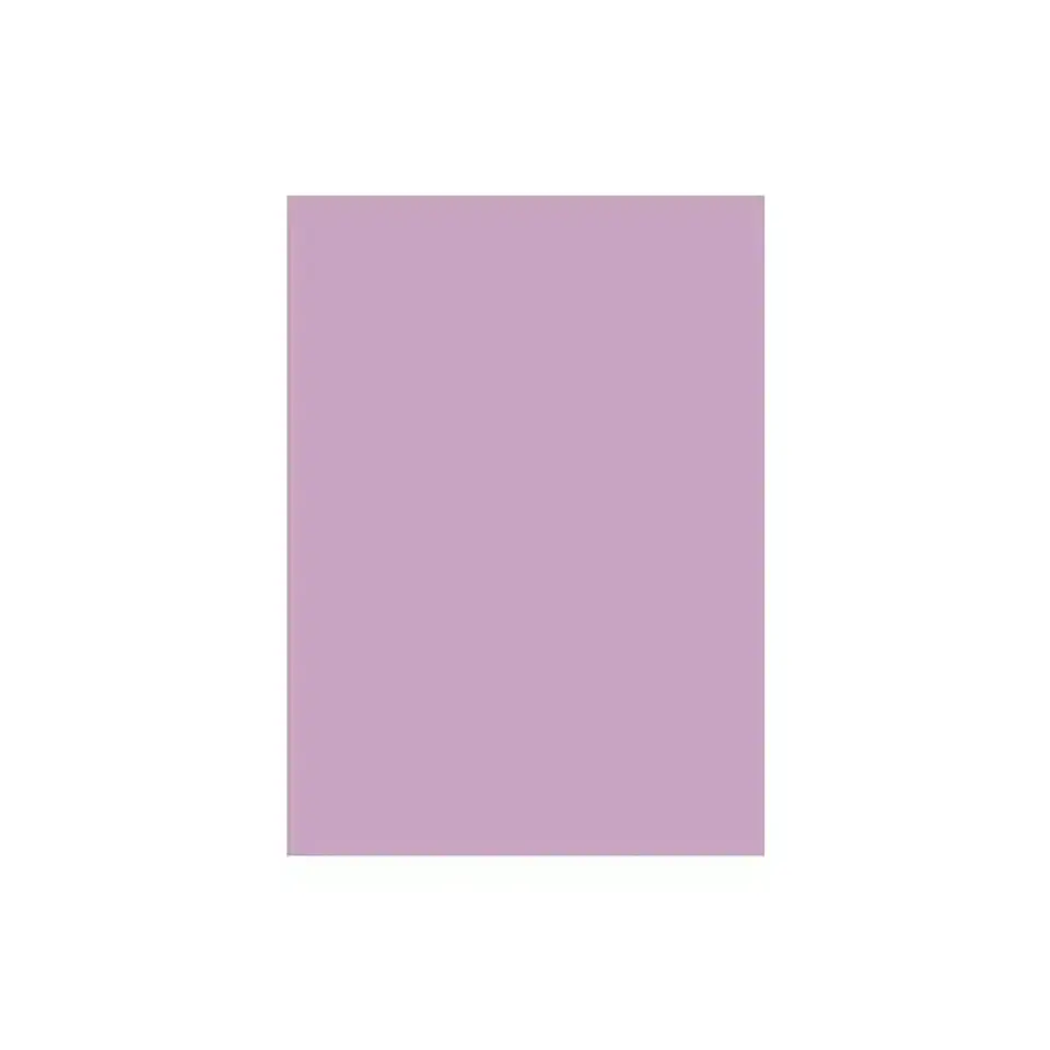 Cartulina Española 50×70 Cm 10 Unidades 6