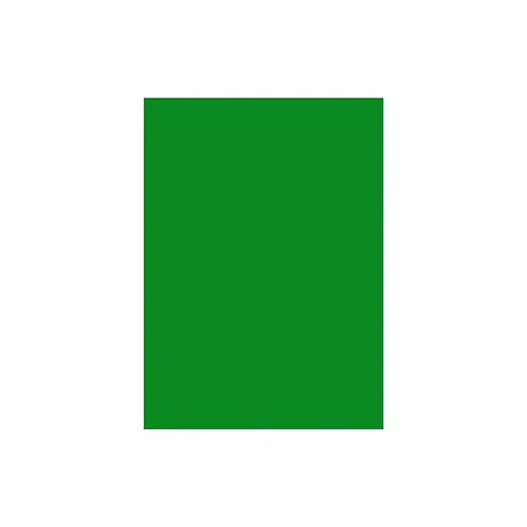 Cartulina De Colores 50x70 Cm 10 Unidades