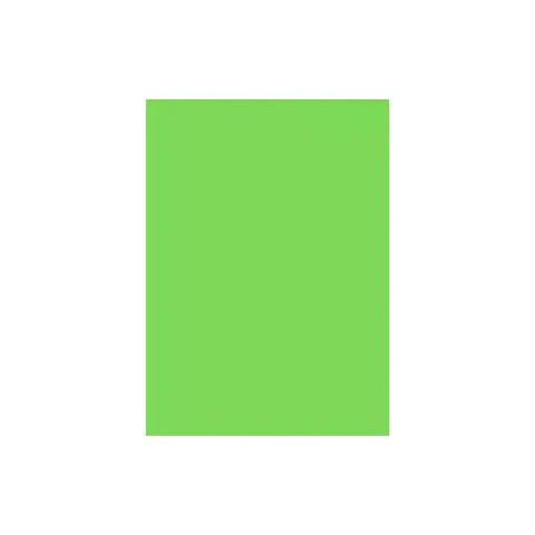 Resma de Papel Color 100 Unidades