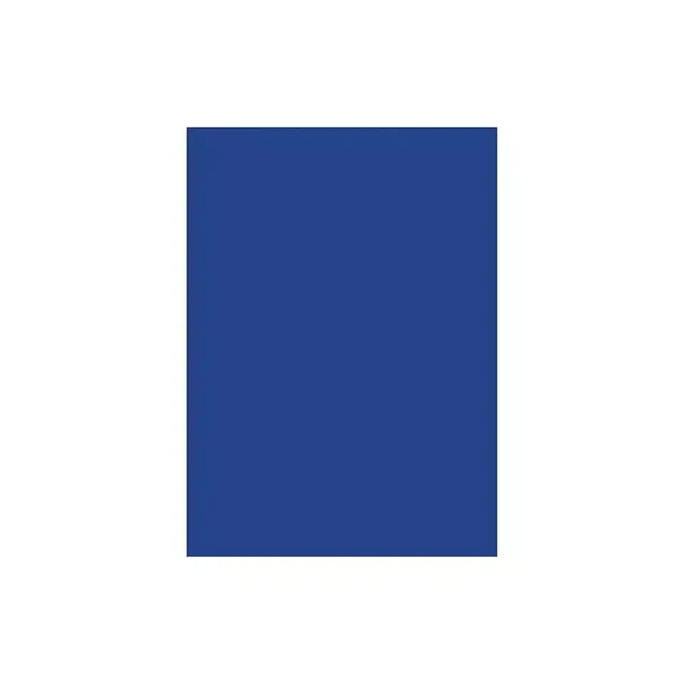 Resma de Papel Color 100 Unidades 10