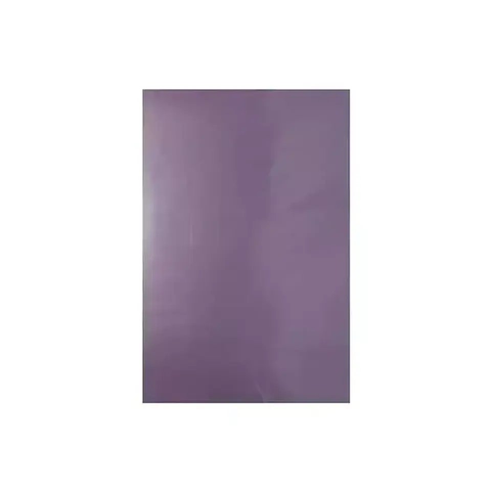 Carpeta Plastificada Con Acoclip 11