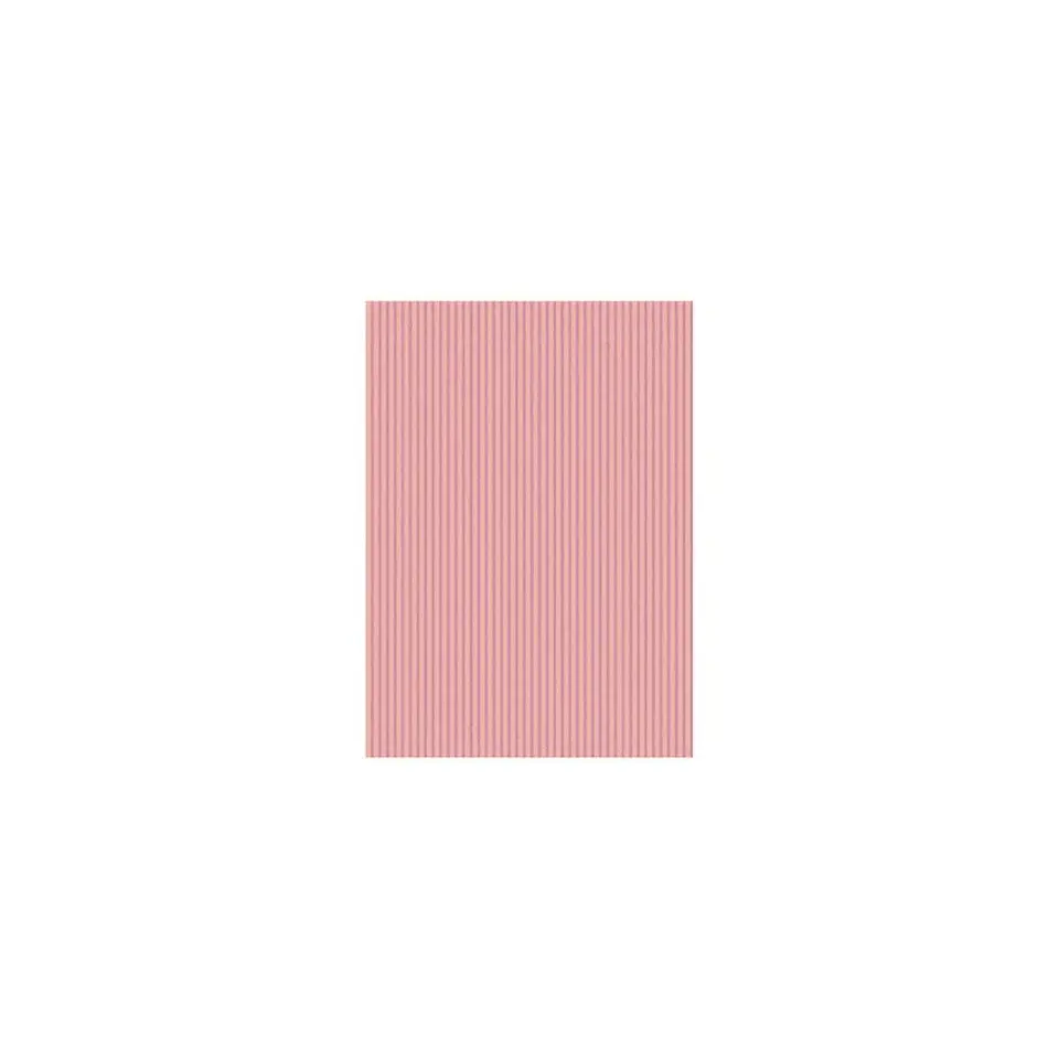 Carton Corrugado 50×70 Cm 10 Unidades 9