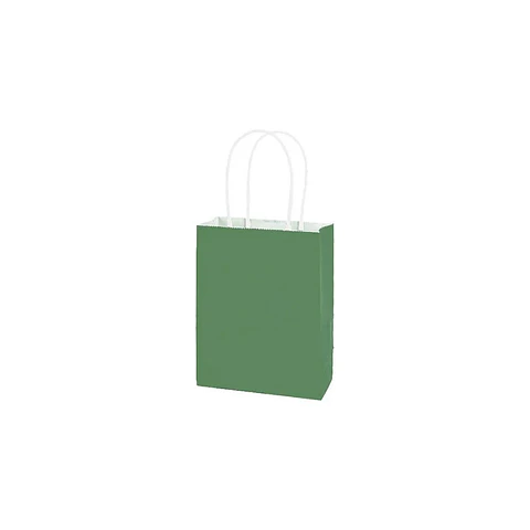Bolsa Papel Kraft Grande Verde 12 Pcs