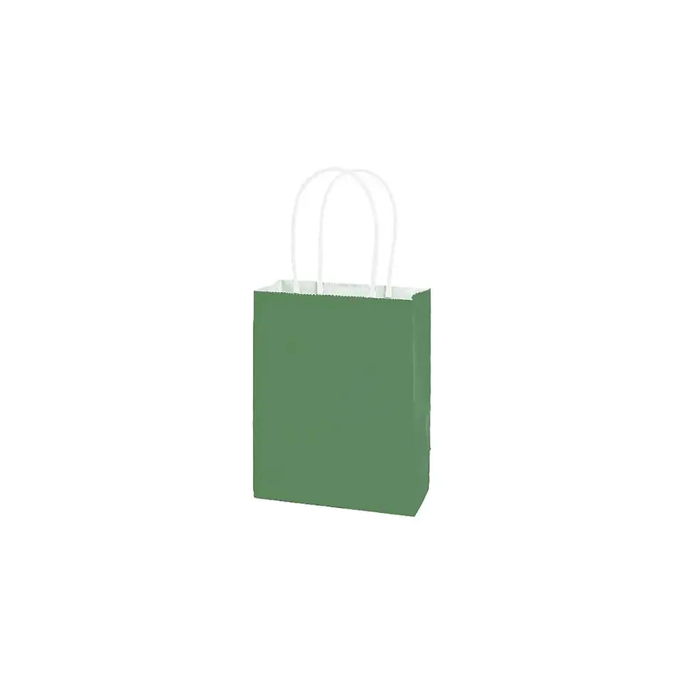 Bolsa Papel Kraft Grande Verde 12 Pcs 1
