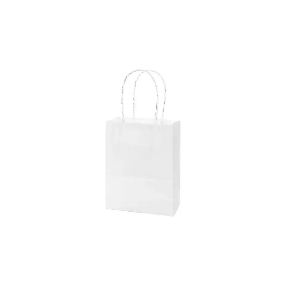 Bolsa Papel Kraft Grande Blanco 12 Pcs 1