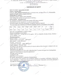 Colgante de shungita amuleto de protección y sanación producto artesanal