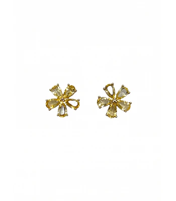 AROS DE PLATA Y CITRINOS 