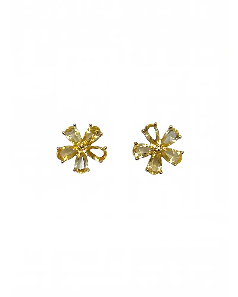 AROS DE PLATA Y CITRINOS 