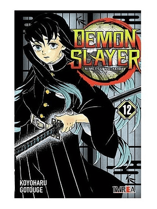 Manga Demon Slayer Kimetsu No Yaiba Vol. 12