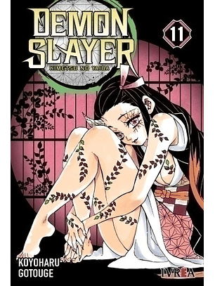 Manga Demon Slayer Kimetsu No Yaiba Vol. 11