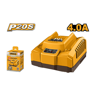 BATERIA DE IONES DE LITIO P20S