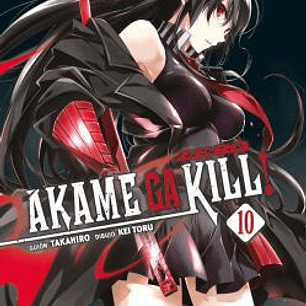 AKAME GA KILL! ZERO 10