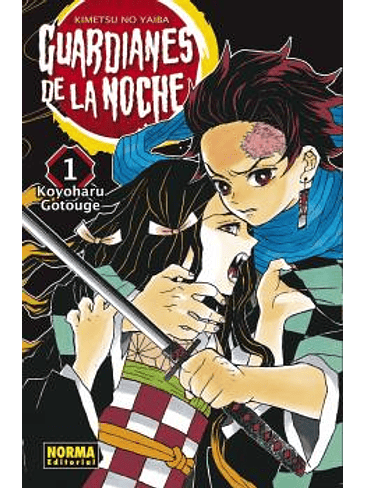 GUARDIANES DE LA NOCHE 01 (NUEVO PVP) 1