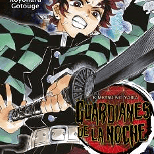 GUARDIANES DE LA NOCHE 10 (NUEVO PVP)