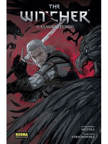 THE WITCHER 04. DE SANGRE Y FUEGO 1