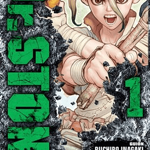 DR. STONE 01