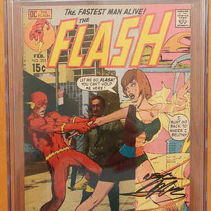 THE FLASH #203