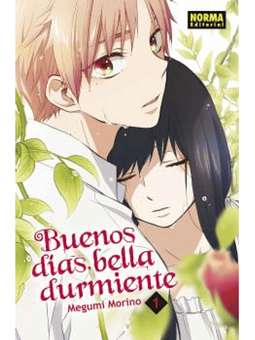 BUENOS DIAS BELLA DURMIENTE 01 1