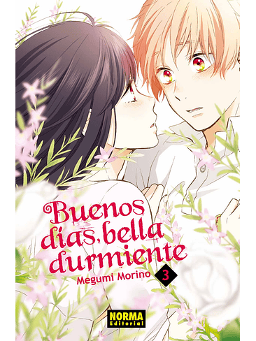 BUENOS DIAS BELLA DURMIENTE 03 1