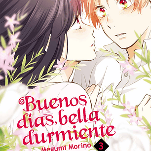 BUENOS DIAS BELLA DURMIENTE 03