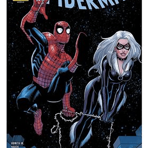 EL ASOMBROSO SPIDERMAN 2