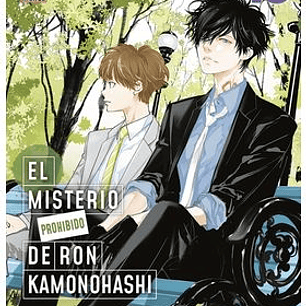 EL MISTERIO PROHIBIDO DE RON KAMONOHASHI 15