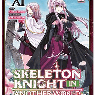 SKELETON KNIGHT IN ANOTHER WORLD 11