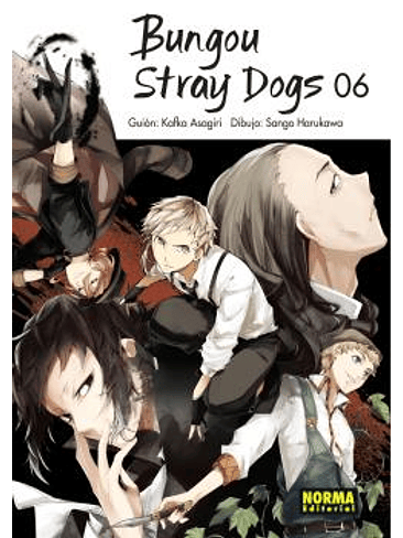 BUNGOU STRAY DOGS 06 (NUEVO PVP) 1