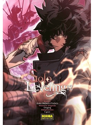 SOLO LEVELING 12 1