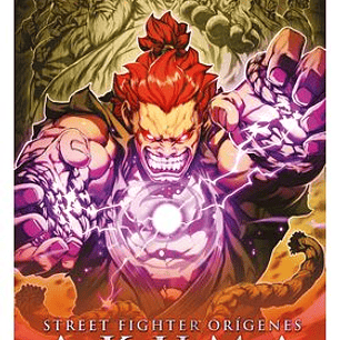 STREET FIGHTER ORIGENES - AKUMA