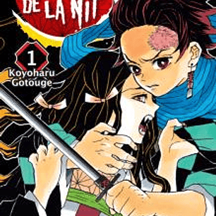 GUARDIANS DE LA NIT 01 (NUEVO PVP)