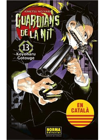 GUARDIANS DE LA NIT 13 1