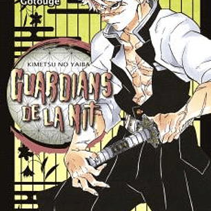 GUARDIANS DE LA NIT 17