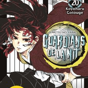 GUARDIANS DE LA NIT 20